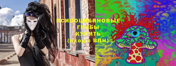 винт Абаза
