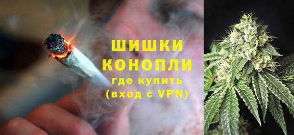 винт Абаза