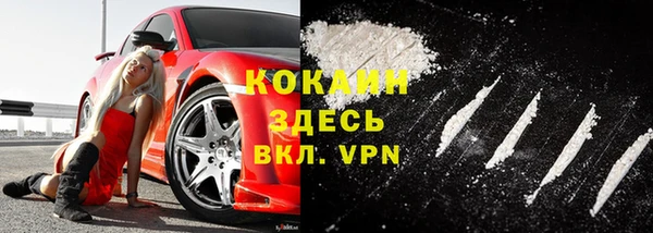 винт Абаза
