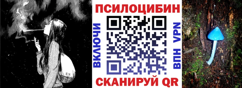 Псилоцибиновые грибы Psilocybine cubensis  площадка какой сайт  Струнино 